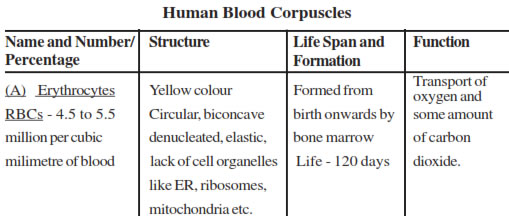Human Blood Corpuscles